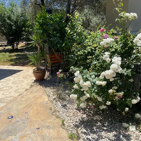 Yildiz Fethiye אולודניץ